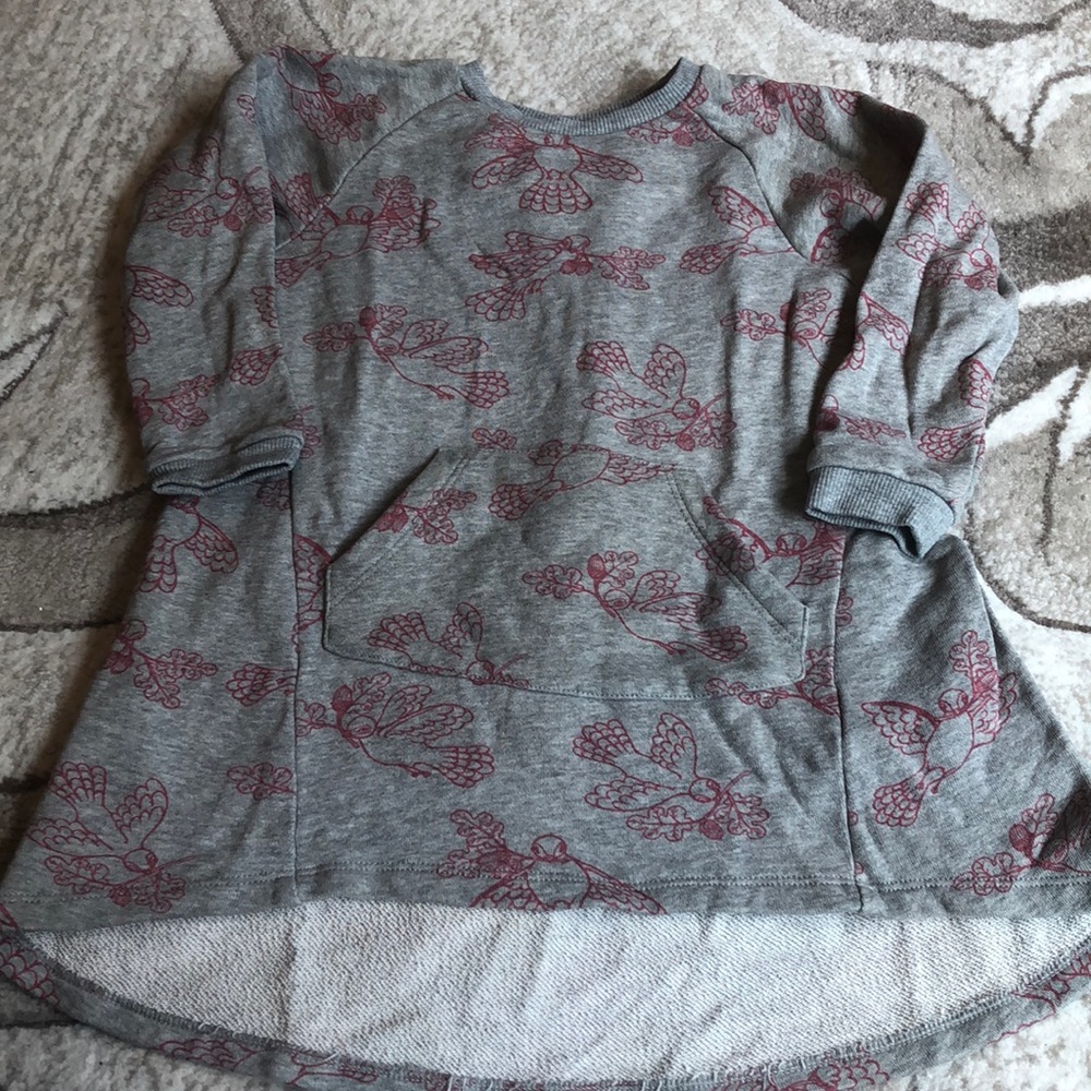 Little Wings hi-lo sweatshirt w red birds 24 mos